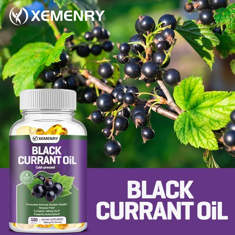 Black Currant Oil 1000 Mg - Co - Black Seed Oil Capsule ulasan dan harga